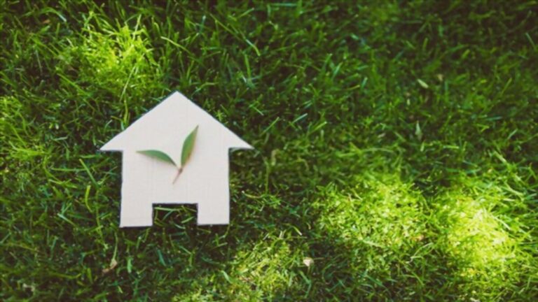 Sustainable Home Décor